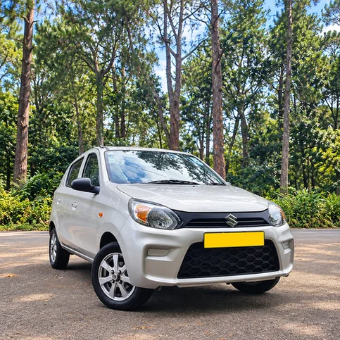 Silver Suzuki Alto hatchback parked beside a tree-lined road.
